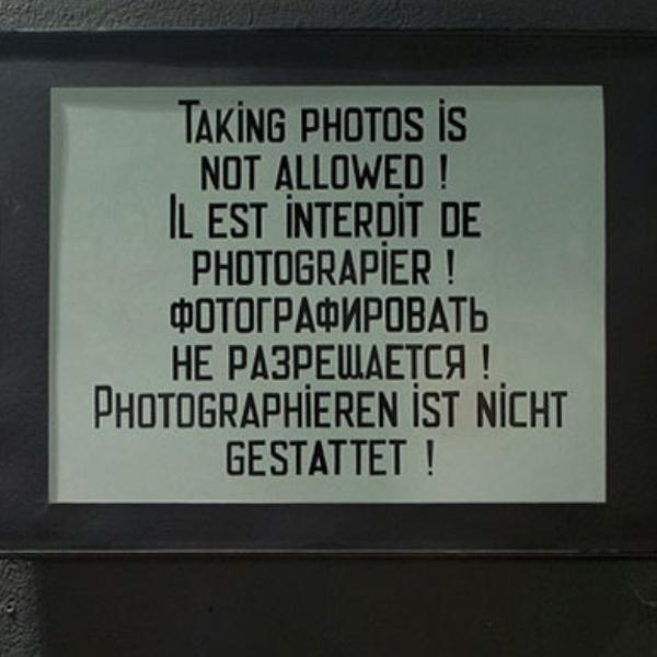 insert alt here